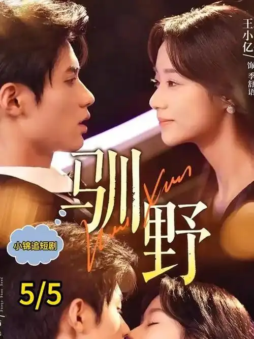 热播电视剧全集《暗涌之城》高清海报