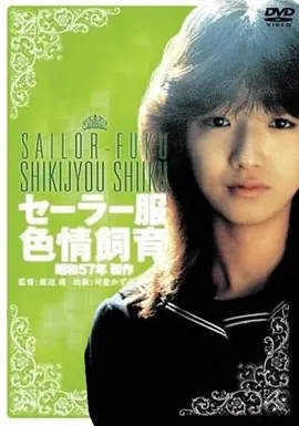 高清电影《第七封信》在线观看海报
